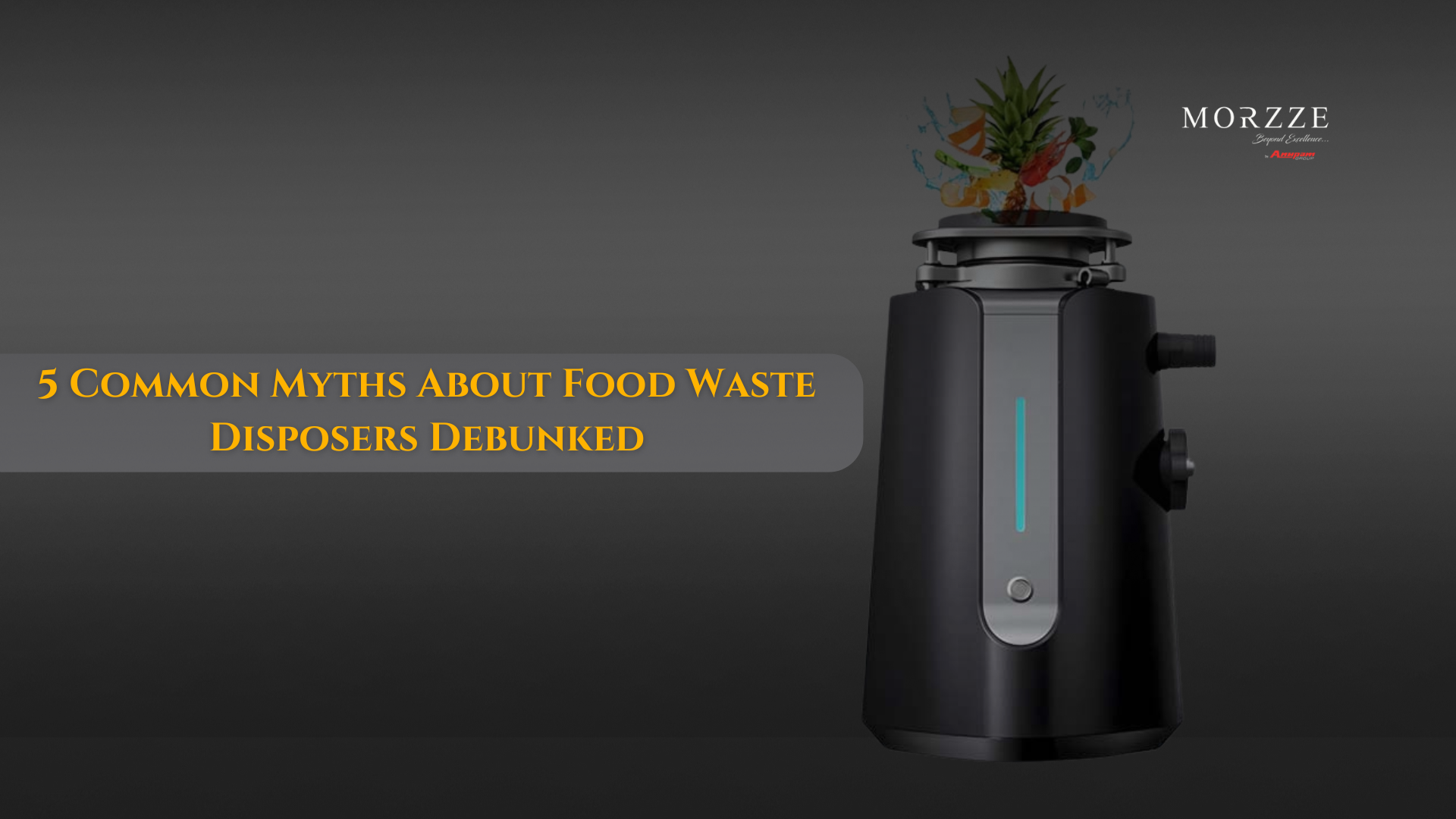 5 Common Myths About Food Waste Disposers Debunked